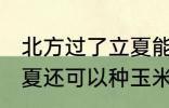 北方过了立夏能种玉米吗 北方过了立夏还可以种玉米吗