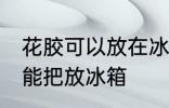 花胶可以放在冰箱冷藏室里吗 花胶不能把放冰箱