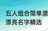 五人组合简单漂亮名字 五人组合简单漂亮名字精选