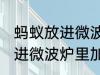 蚂蚁放进微波炉里加热会死吗 蚂蚁放进微波炉里加热会不会死