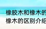 橡胶木和橡木的区别是什么 橡胶木和橡木的区别介绍