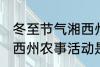 冬至节气湘西州农事活动 冬至节气湘西州农事活动是什么