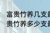 富贵竹养几支最旺运办公室 办公室富贵竹养多少支最旺运