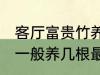 客厅富贵竹养几支最旺运 水养富贵竹一般养几根最旺财