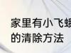 家里有小飞蛾怎么消灭 家里有小飞蛾的清除方法