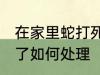 在家里蛇打死了怎么办 在家里蛇打死了如何处理