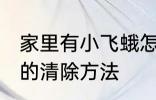 家里有小飞蛾怎么消灭 家里有小飞蛾的清除方法