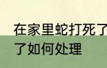 在家里蛇打死了怎么办 在家里蛇打死了如何处理