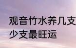 观音竹水养几支最旺运 观音竹水养多少支最旺运