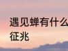 遇见蝉有什么兆头 梦见知了蝉有什么征兆