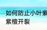 如何防止小叶紫檀开裂 怎样防止小叶紫檀开裂