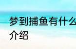 梦到捕鱼有什么兆头 梦见捕鱼的寓意介绍