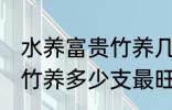 水养富贵竹养几支最旺运财 水养富贵竹养多少支最旺运财