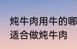 炖牛肉用牛的哪个部分 哪个位置的肉适合做炖牛肉