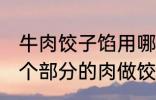 牛肉饺子馅用哪个部位的牛肉 牛的那个部分的肉做饺子馅比较好吃