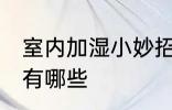 室内加湿小妙招有哪些 室内加湿方法有哪些