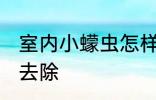 室内小蠓虫怎样去除 室内小蠓虫如何去除