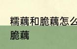 糯藕和脆藕怎么区分 如何区别糯藕和脆藕