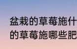 盆栽的草莓施什么肥好不要化肥 盆栽的草莓施哪些肥好不要化肥