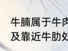 牛腩属于牛肉哪个部位 牛腩即牛腹部及靠近牛肋处的松软肌肉对吗