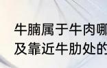 牛腩属于牛肉哪个部位 牛腩即牛腹部及靠近牛肋处的松软肌肉对吗