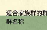 适合家族群的群名称 有哪些家族群的群名称