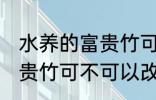 水养的富贵竹可以改土养吗 水养的富贵竹可不可以改土养